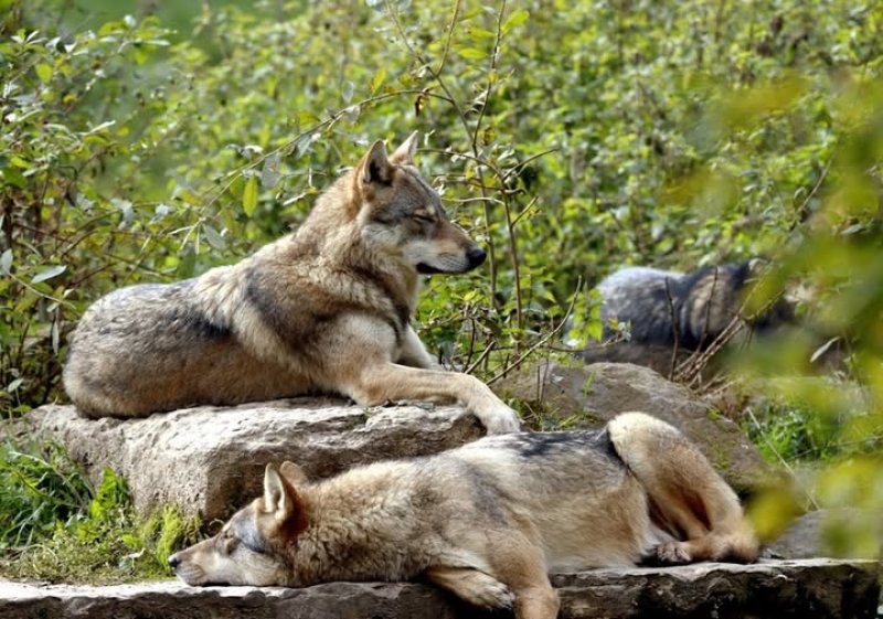 0e049f207bca45d4f26a2ce0ec2aa100 M