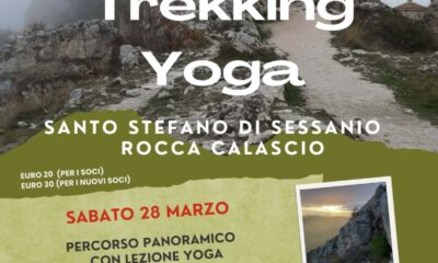 133d481ea479cf198c99653a261bb3ac M