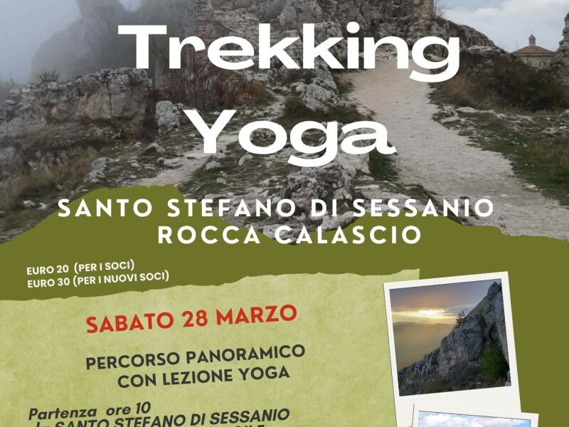 133d481ea479cf198c99653a261bb3ac M