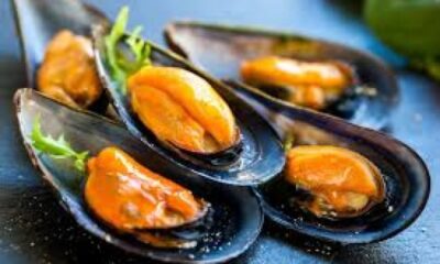 16e612b945a0952cd46e0d0670a78260 M