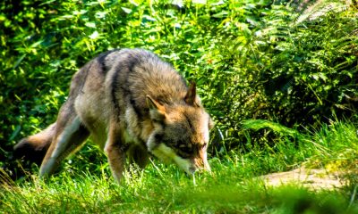 404ec423f7400f48b85f6e6c1d1e65cf XL