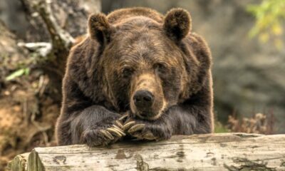 78e93628e6784ae83d7fe63cb520d015 M