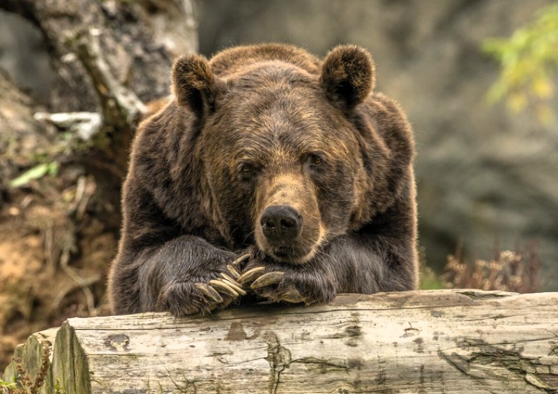 78e93628e6784ae83d7fe63cb520d015 M