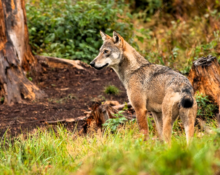 Immagine 2026 04 15 192805