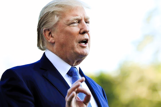 Immagine 2026 04 16 183017