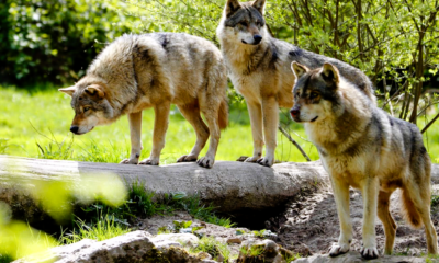 Immagine 2026 04 22 200224