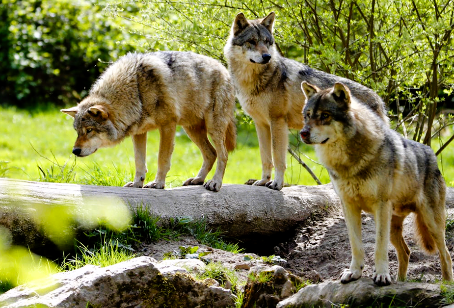 Immagine 2026 04 22 200224