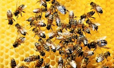 Immagine 2026 04 23 123422