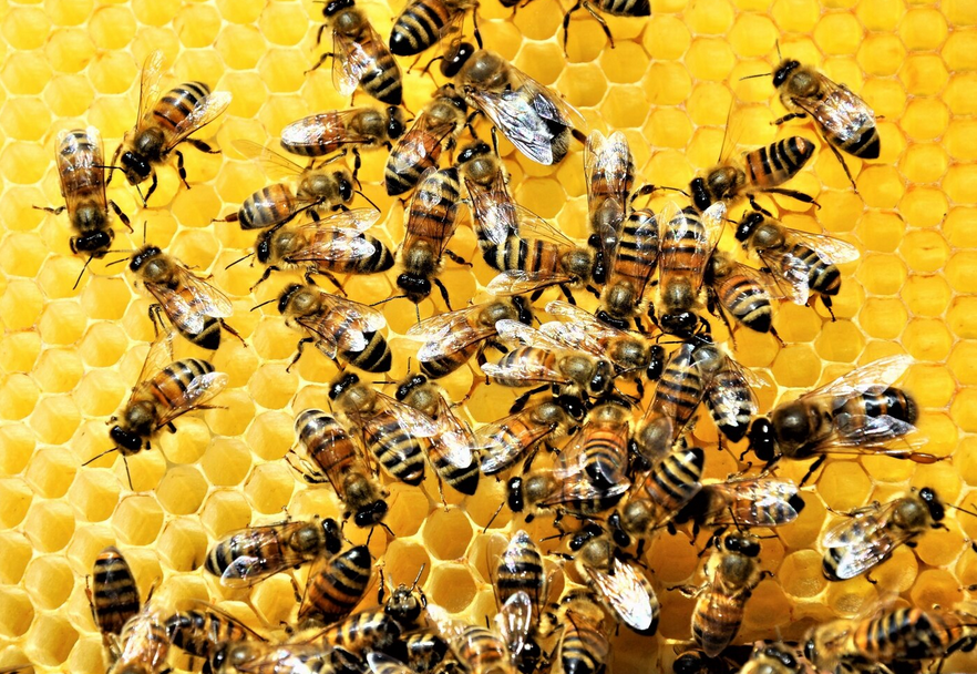 Immagine 2026 04 23 123422