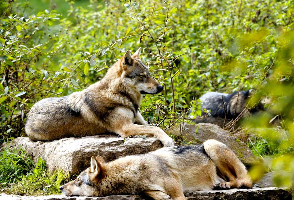 Immagine 2026 04 23 184223