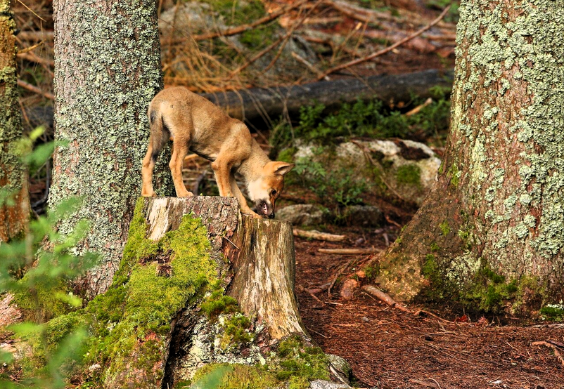 Immagine 2026 04 24 104541