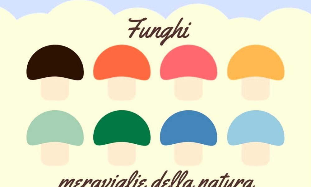 Incontro Funghi meraviglie della natura