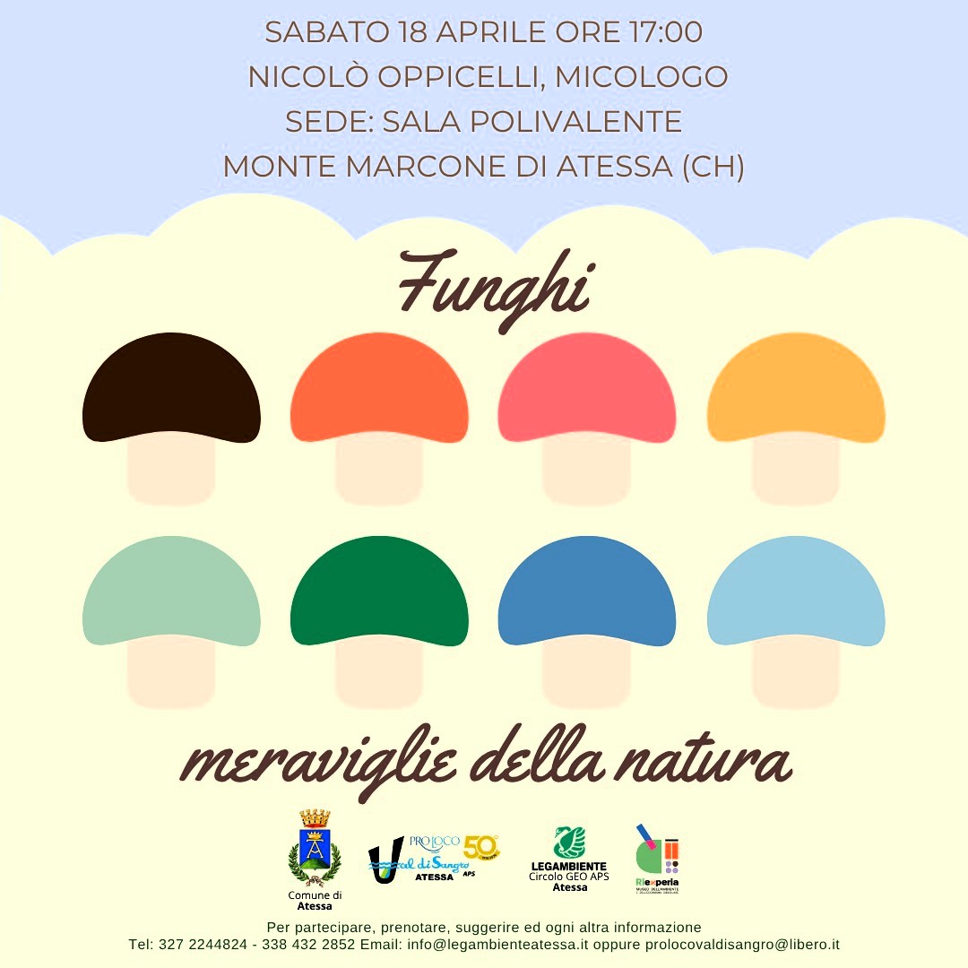 Incontro Funghi meraviglie della natura
