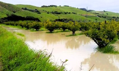 maltempo agricoltura 6