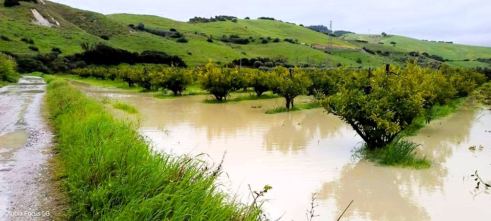 maltempo agricoltura 6